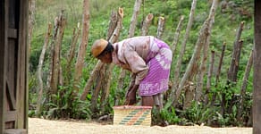 Zafimaniry woman, Madagascar