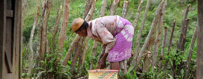 Zafimaniry woman, Madagascar